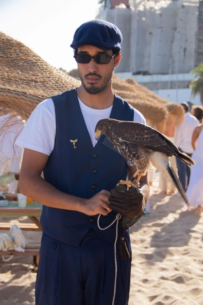 Controlo de gaivotas num resort com águia de Harris